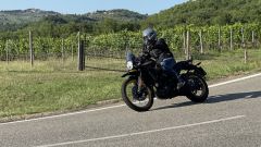 Gallery - immagine 5#