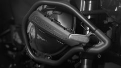 Gallery - immagine 11#