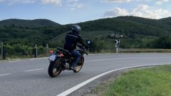 Gallery - immagine 2#