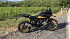 Gallery - immagine 8#