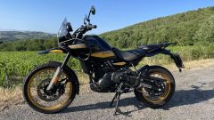 Gallery - immagine 6#