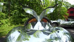 Gallery - immagine 7#