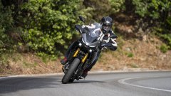 Gallery - immagine 7#
