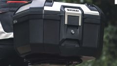 Gallery - immagine 3#