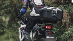 Gallery - immagine 4#