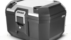 Gallery - immagine 6#