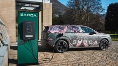 Gallery - immagine 4#