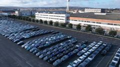 Gallery - immagine 2#