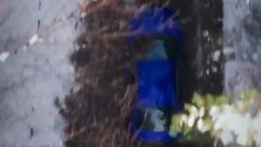 Gallery - immagine 3#