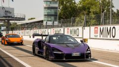 Gallery - immagine 4#