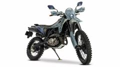 Suzuki, debutta il concept DR-Z4S Monster Hunter Wilds Edition