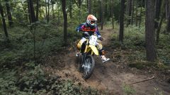 Gallery - immagine 7#