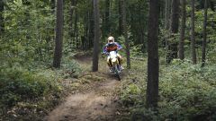 Gallery - immagine 4#