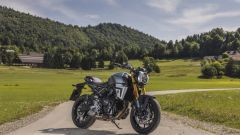 Gallery - immagine 9#