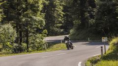 Gallery - immagine 5#