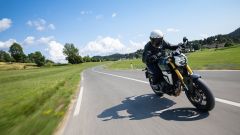 Gallery - immagine 3#