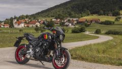 Gallery - immagine 10#