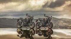 Gallery - immagine 7#