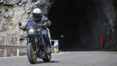 Gallery - immagine 7#