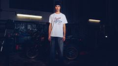 Gallery - immagine 7#