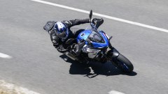 Gallery - immagine 6#