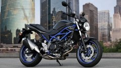 Suzuki SV650 potrebbe tornare in gamma nel 2027: le anticipazioni