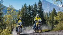 Gallery - immagine 3#