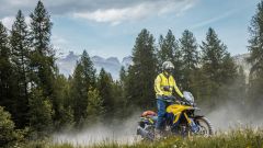 Gallery - immagine 5#