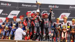 Gallery - immagine 2#