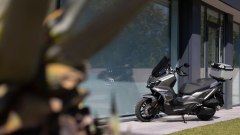 Gallery - immagine 2#