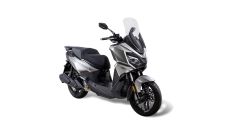 Gallery - immagine 5#