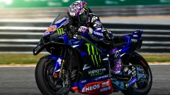 Gallery - immagine 7#