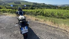 Gallery - immagine 9#
