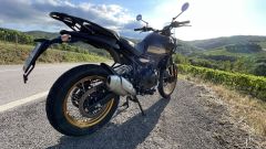 Gallery - immagine 10#