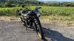 Gallery - immagine 11#