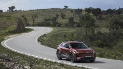 Gallery - immagine #14