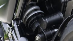 Gallery - immagine 8#