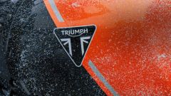 Triumph: arrivano due nuovi modelli novità 2026