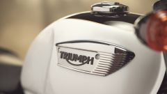 Gallery - immagine 4#