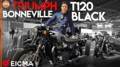 Triumph Bonneville T120 e T120 Black 2026 in video da EICMA 2025