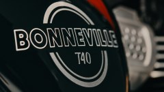 Gallery - immagine 10#