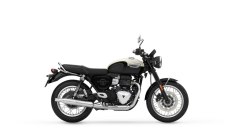 Gallery - immagine 3#