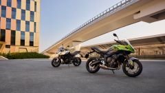 Gallery - immagine 4#