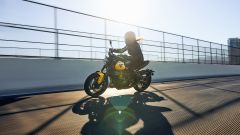 Gallery - immagine 5#