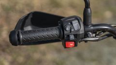 Gallery - immagine 3#