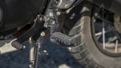 Gallery - immagine 8#