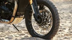 Gallery - immagine 11#