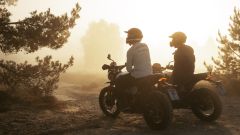 Gallery - immagine 7#