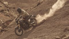 Gallery - immagine 2#