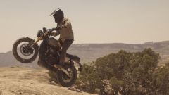 Gallery - immagine 3#